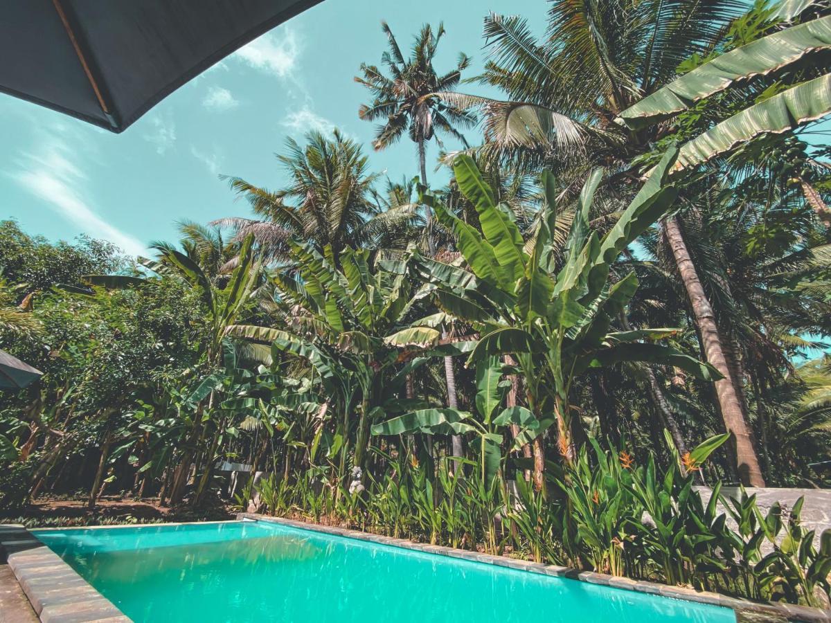 The Valley Green Cottage And Massage Ped Bagian luar foto