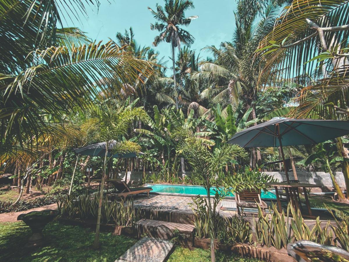The Valley Green Cottage And Massage Ped Bagian luar foto